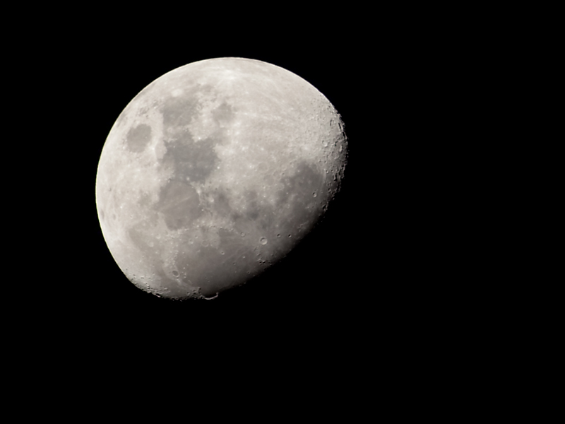 Click on the image to go to my galleries